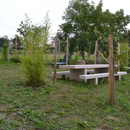 Montoto بيت شباب