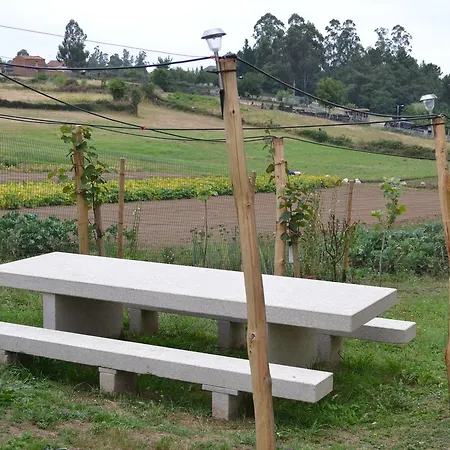 Montoto ميليدي